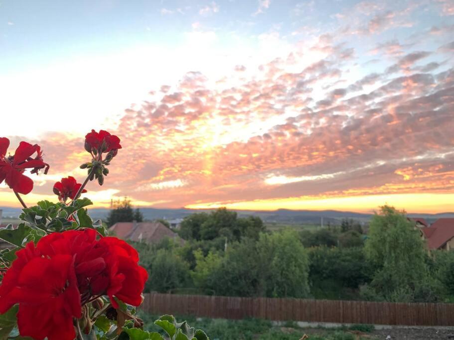 Appartement Sunset Sîngeorgiu de Mureş
